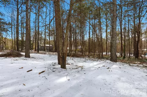 Exterior - 160 Arrow Point Ln, Davidson, NC 28036 photo 7 of 8