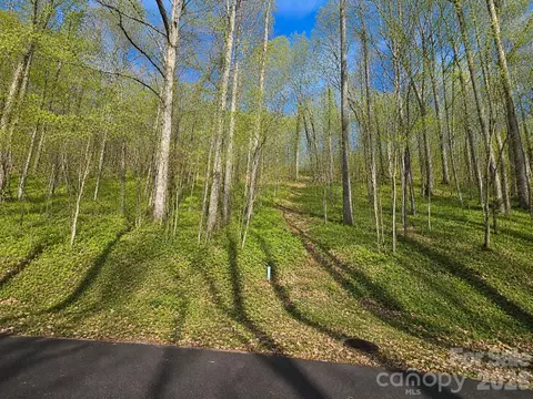 455 Mountain Watch 16 Dr #16, Waynesville, NC 28785