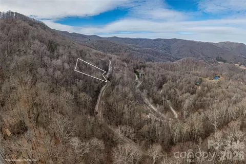 00 Curry Comb 516 Trl #516, Waynesville, NC 28785