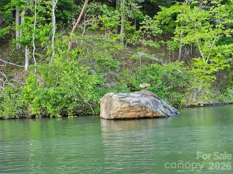 00 Hawk Ridge 8 Dr #8, Mill Spring, NC 28756 photo 8