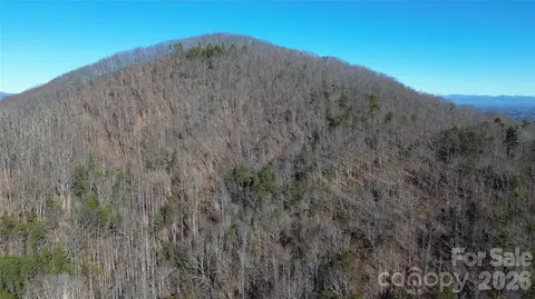9999 Sealey Ln, Leicester, NC 28748