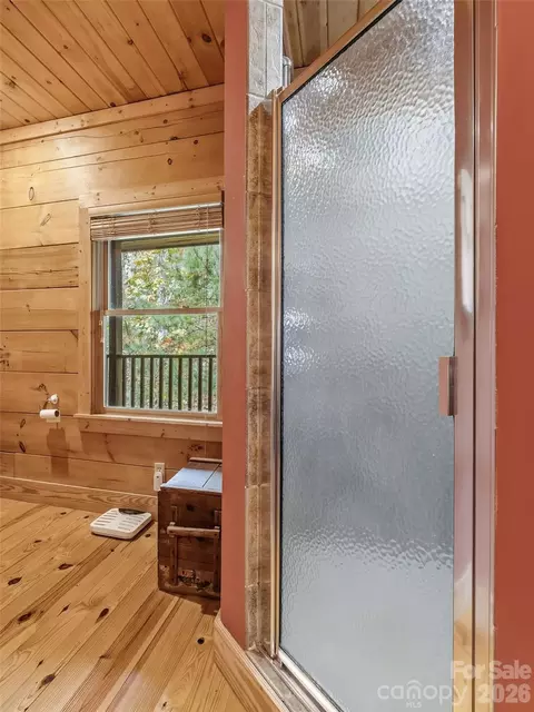 Bath - 167 Mountain Vista Dr, Saluda, NC 28773 photo 3 of 7