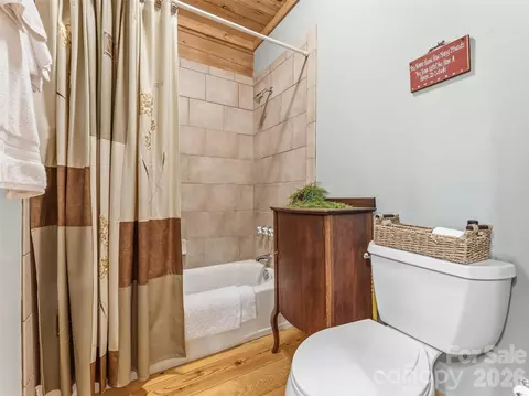 Bath - 167 Mountain Vista Dr, Saluda, NC 28773 photo 5 of 7