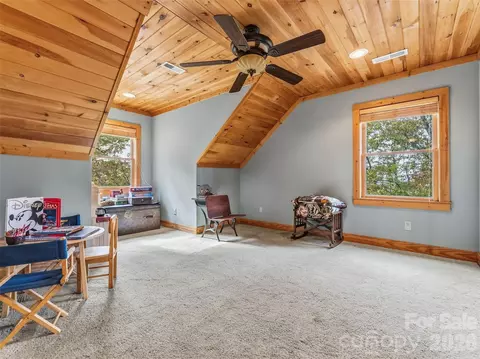 Other - 167 Mountain Vista Dr, Saluda, NC 28773 photo 10 of 11