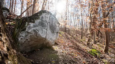 Upright Road, Mount Ulla, NC 28125 photo 3
