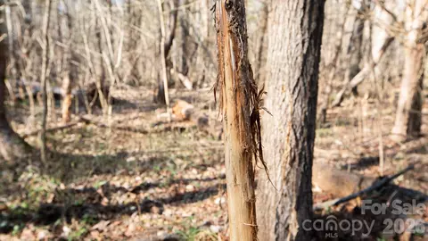 Upright Road, Mount Ulla, NC 28125 photo 14