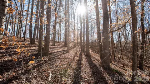 Upright Road, Mount Ulla, NC 28125 photo 33