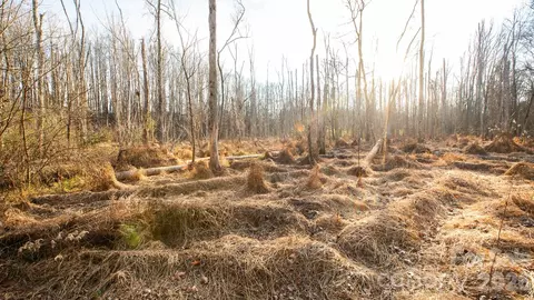 Upright Road, Mount Ulla, NC 28125 photo 30