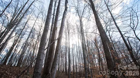 Upright Road, Mount Ulla, NC 28125 photo 32