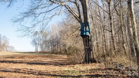 Upright Road, Mount Ulla, NC 28125 photo 31
