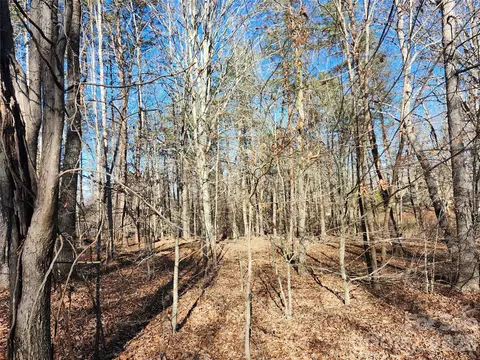 0000 Forest Ridge 22 Rd #22, Tryon, NC 28782 photo 5