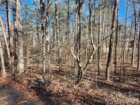 0000 Forest Ridge 22 Rd #22, Tryon, NC 28782 photo 4