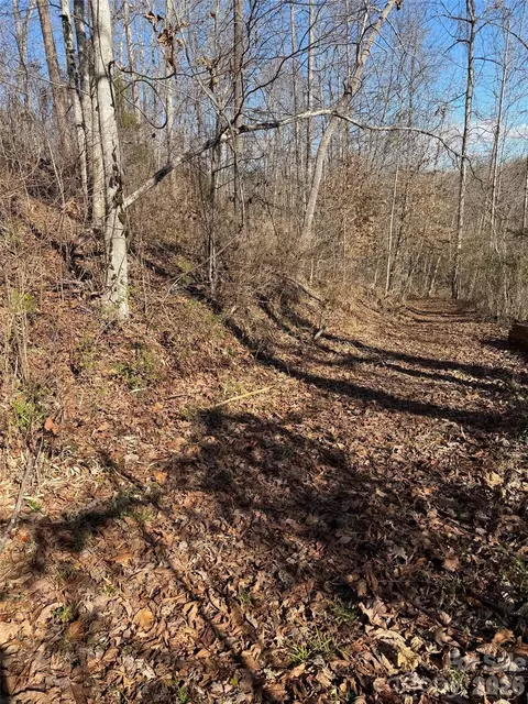 000 E Rambling Creek 11 Rd #11, Tryon, NC 28782