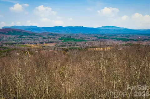 149 Mossy Oak 166167 Trl #166/167, Nebo, NC 28761