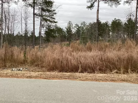 2146 Pikes Peak 154 Rdg #154, Connelly Springs, NC 28612