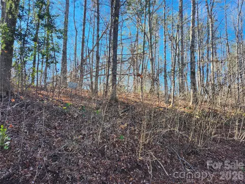 0000 E Rambling Creek 26 Dr #26, Tryon, NC 28782 photo 6