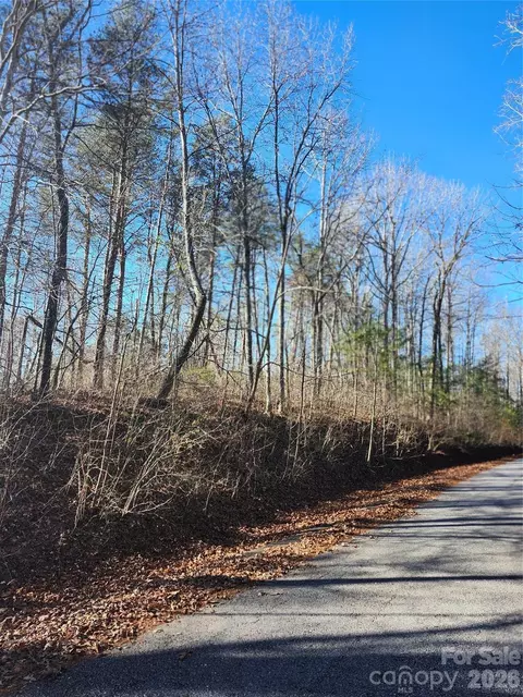 0000 E Rambling Creek 26 Dr #26, Tryon, NC 28782 photo 5