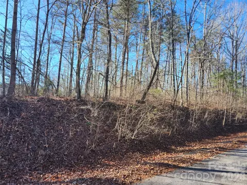 0000 E Rambling Creek 26 Dr #26, Tryon, NC 28782 photo 4