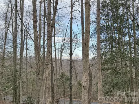 0000 E Rambling Creek 26 Dr #26, Tryon, NC 28782 photo 2