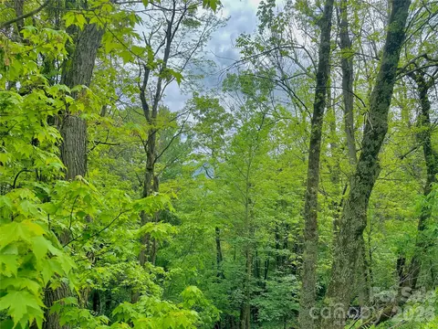 Alpine Drive, Seven Devils, NC 28604 photo 4
