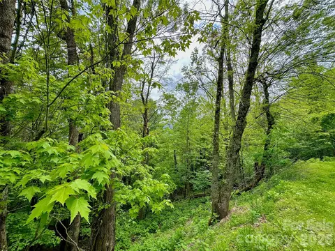 Alpine Drive, Seven Devils, NC 28604 photo 3