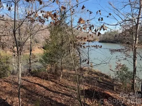 37 Peninsula Dr, Mill Spring, NC 28756 photo 3