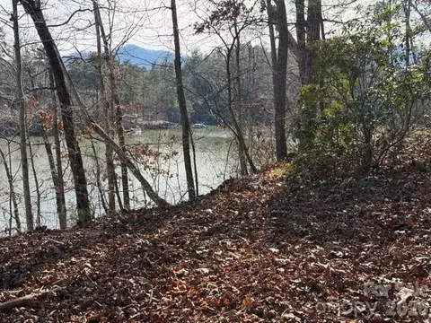 37 Peninsula Dr, Mill Spring, NC 28756 photo 4