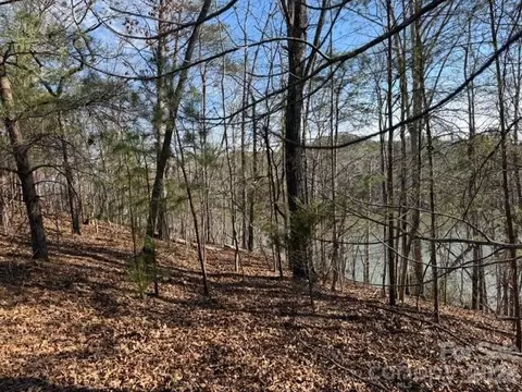 37 Peninsula Dr, Mill Spring, NC 28756 photo 7