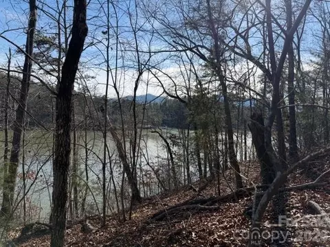 37 Peninsula Dr, Mill Spring, NC 28756 photo 6