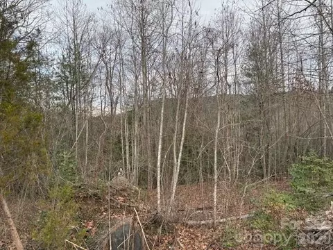 0 S Old Nc 18 S Hwy S, Connelly Springs, NC 28612