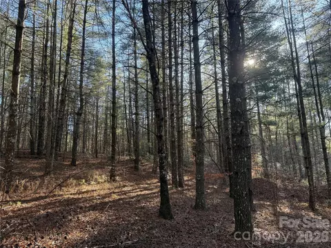 1291 Scenic Vista 288 Dr #288, Nebo, NC 28761