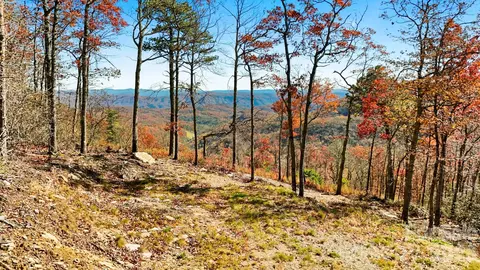 Bluebell Trail, Boone, NC 28607