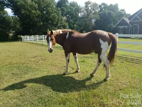 Other - 5432 E Highway 218 Hwy, Monroe, NC 28110 photo 13 of 28