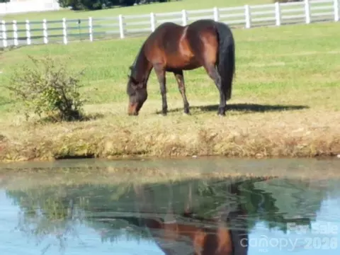 Other - 5432 E Highway 218 Hwy, Monroe, NC 28110 photo 28 of 28
