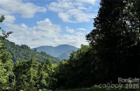 350 Scotts Trl, Madison, NC 28743