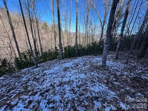 621 Round Top Rd, Almond, NC 28702