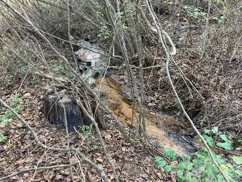 0 Dead End Rd, Bostic, NC 28018 photo 26