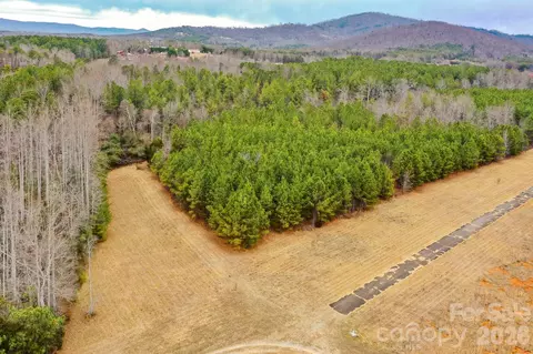 0 Dead End Rd, Bostic, NC 28018 photo 8