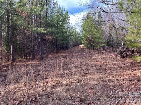 0 Dead End Rd, Bostic, NC 28018 photo 19
