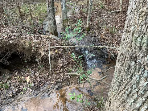0 Dead End Rd, Bostic, NC 28018 photo 24