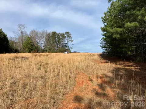 0 Dead End Rd, Bostic, NC 28018 photo 21