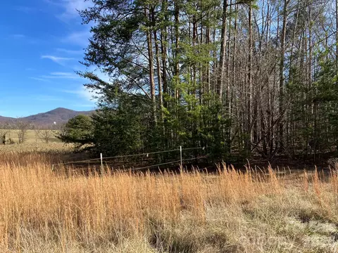 0 Dead End Rd, Bostic, NC 28018 photo 17