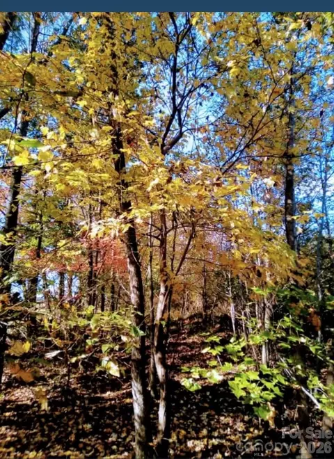 0000 Potter Rd, Waxhaw, NC 28173