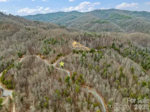 400 Pine Cone 20 Trl #20, Marshall, NC 28753