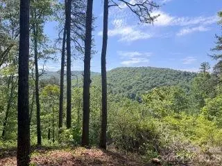 0 Green River Rd, Zirconia, NC 28790