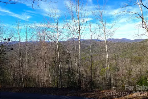 Ruffed Grouse L045 Road #L045, Brevard, NC 28712