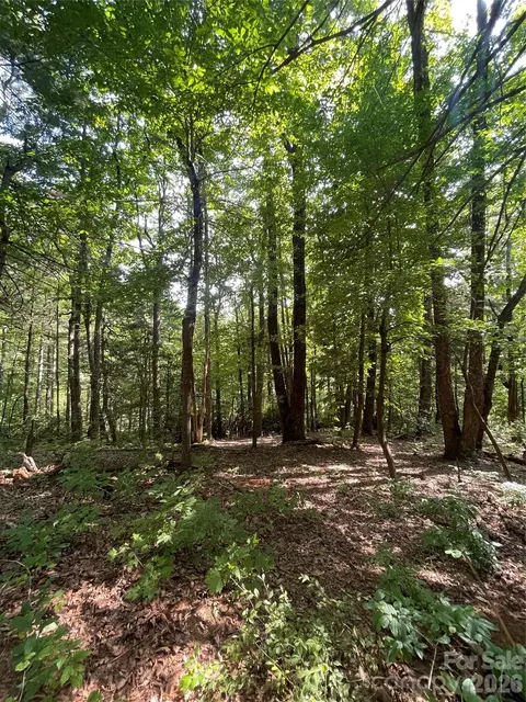 21 Haverhill Court #21, Flat Rock, NC 28731