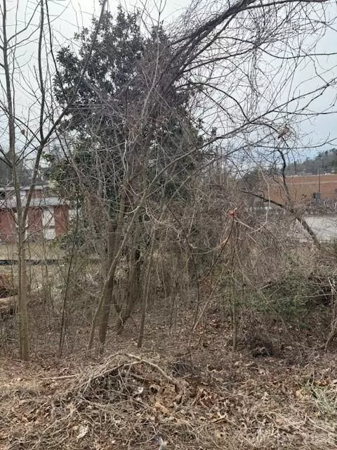 37 Johnson 2 Dr #2, Asheville, NC 28804