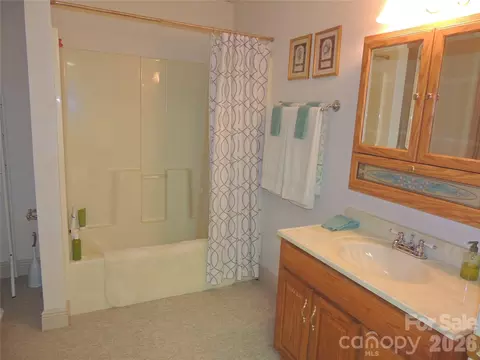 Bath - 256 Gable Hill Ln, Bostic, NC 28018 photo 7 of 7