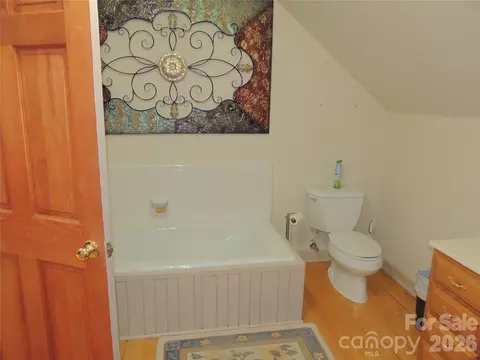 Bath - 256 Gable Hill Ln, Bostic, NC 28018 photo 6 of 7